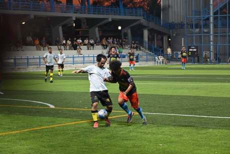 哈兰德回应法甲争冠格局生变关键战将检验轮换深度｜乐鱼网页版登录界面 观察